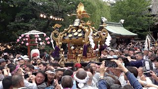 初夏の訪れを告げる「三社祭」