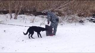 детки  начало защиты видео