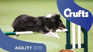 Agility – Crufts Singles Heat – Small (Jumping) | Crufts 2019