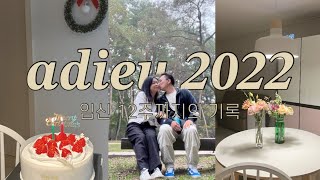 2022년 마지막 영상. 임신초기 일상VLOG. 유산 전 임신 12주까지의 기록