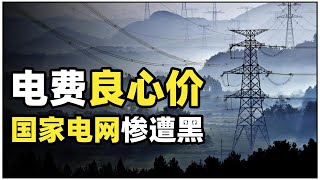 中国最低调的国企巨无霸，却被人质疑技术太低级，国家电网的实力【大又元】