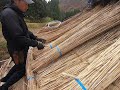 【新潟】山里の茅葺き屋根 part.1 thatching the roof in niigata japan