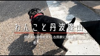 ＜4K＞わんこと丹波篠山　歴史探訪＆古民家に宿泊篠山城　＃犬連れ＃篠山城＃武家屋敷＃古民家＃城下町ホテル＃河原町妻入商家群＃丹波篠山