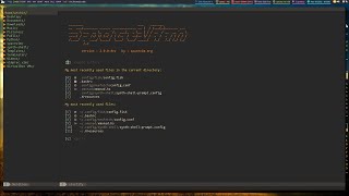 Lets Take VIM to Space : Installing SpaceVim