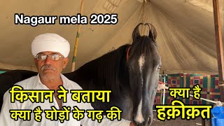 किसान ने बताया अब कहाँ है घोड़े का गढ़ | Nagaur pashu mela 2025 | horse market Rajasthan