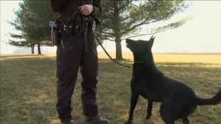Grant County K9