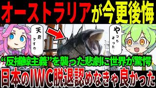 【天罰下る】日本がIWC脱退から6年…反捕鯨国オーストラリアが“サメ地獄”に沈む理由【ずんだもん＆ゆっくり解説】