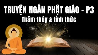 Ngẫm về cuộc sống qua \