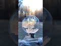 frozen bubble 🥶❄️ snow crystal