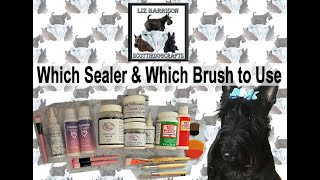 Diamond Painting | Sealing a Canvass | Looking at different Sealers \u0026 Brushes |