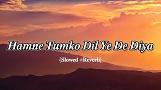 Hamne Tumko Dil Ye De Diya | Slowed +Reverb | lofi | Old Is Gold 💥