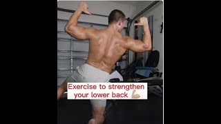 Exercises To Strengthen Your Lower Back & Alleviate Pain