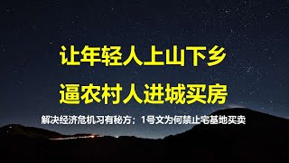 经济崩盘，解决房地产危机和失业潮，习总有抢救秘方：让年轻上山下乡，逼农村人进城买房；国有等于私有，集体等于没有。