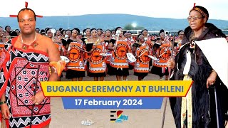 Buhleni Royal Residence Buganu (Marula) Ceremony  || 17-02-2024