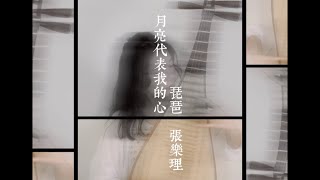 月亮代表我的心—鄧麗君 |琵琶 張樂理LeLi | The Moon Represents My Heart - Teresa Teng | Pipa