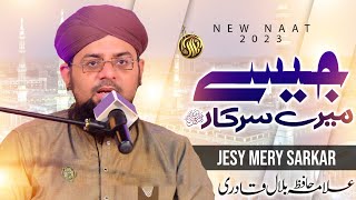 Ab Meri Nigaho Me | Jese Mere Sarkar Hain | New Naat | Allama Hafiz Bilal Qadri