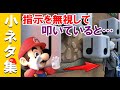 【USJマリオ】スーパー・ニンテンドー・ワールド 小ネタ集【攻略】