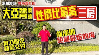 【惠州澳頭 | 粵海壹桂府】性價比最高三房 | 離深圳最近的海 | 實力國企精裝交付【寰宇筍盤】瀧珀花園 惠州樓盤 粵港澳大灣區