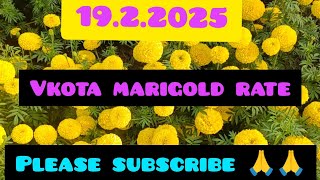 19.2.2025 ఈరోజు వి.కోట మార్కెట్ లో పూలు ధరలుToday  marigold rates In V.Kota market