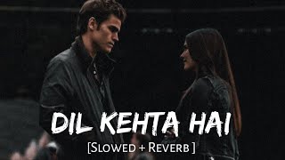 Dil Kehta Hai | ( Slowed + Reverb ) | |Break up | Kumar Sanu & Alka Yagnik |#trending#viral#slowed