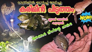 #fishing രാത്രിയിൽ ടോർച്ച് അടിച്ചു മീൻ പിടിക്കൽ🐠കരിമീൻ ചാകര 🪱 #viralvideo #kollam