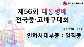 [제56회 대통령배 전국 중·고 배구대회] 8강 인하사대부중 vs 일직중 _ 영광스포티움보조