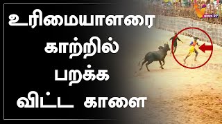 உரிமையாளரை காற்றில் பறக்க விட்ட காளை | Palamedu Jallikattu | பாலமேடு ஜல்லிக்கட்டு | Pongal 2021