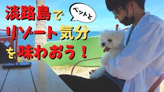 【犬旅vlog】淡路島で一流リゾート地の気分が味わえるスポットに、レオも大満足？【マルチーズMaltese】