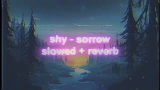 Shy - sorrow (slowed and reverb)