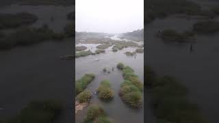 வற்றாத ஜீவநதி தாமிரபரணி தெய்வம்.#thamiraparani #tirunelveli #travel #video