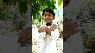 Children's Day Song | Action song Malayalam for kids and children| Chachaji song