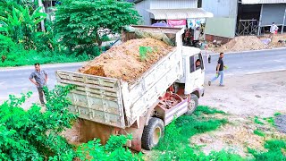 Wonderful show Technique skill LANDFILL by Smart driver use mini Dozer pushing soil clear land with