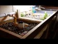 Aquaponics Walkthrough Episode 1 - The beginning