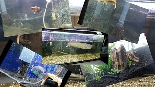 熱帯魚水槽 水草水槽90cmスリム