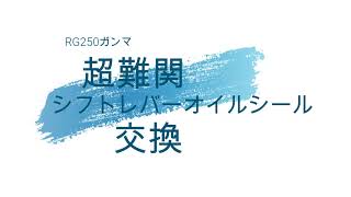 RG250ガンマシフトレバーオイルシール交換