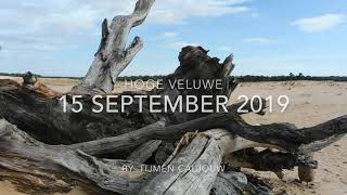 Nature Video #14 at The Hoge Veluwe | TC Nature Videos