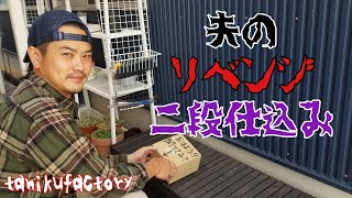 【夫婦多肉】夫がリベンジ仕掛けてきました