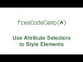 Basic CSS - Use Attribute Selectors to Style Elements - freeCodeCamp