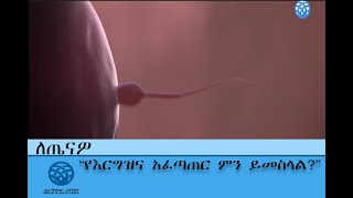 የእርግዝና አፈጣጠር ምን ይመስላል?