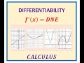 Differentiability Continuity of Functions End Points | Cusp Corner | Piecewise | Asymptotes |Holes