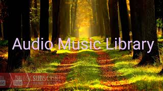Free background music | Free copyright music |no copyright music | Free background music for youtube