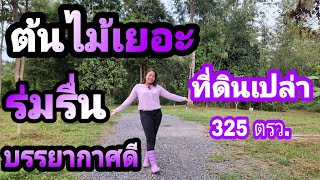 ต้นไม้ใหญ่เยอะ บรรยากาศดี [EP.846] ที่ดินพร้อมสร้างบ้าน #ราคาถูก