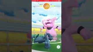 Granbull solo 90sec no WB