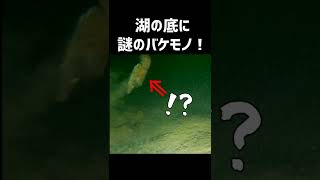 湖の底にカメラ沈めたら謎のバケモノが映った！？ #shorts