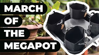 Effortless Growth with MegaPot Multi-Pot: Your Gravity-Fed Solution for Shorter Plant Cycle