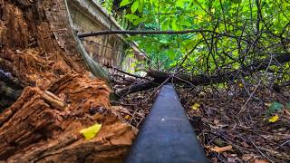 Lost Places - Stillgelegter Bahnhof Gartenfeld