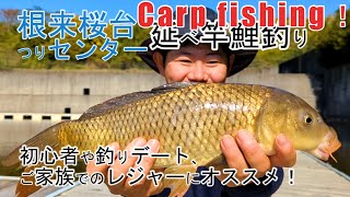 Challenge your first carp fishing!A carp in a fishing pond that challenges with a guideless rod!