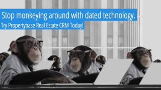 Propertybase Real Estate CRM - Stop Monkeying Around!