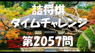 詰将棋タイムチャレンジ・第2057問