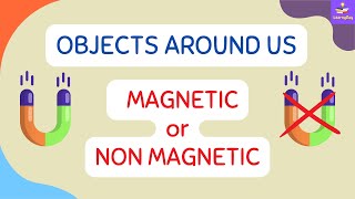 Let’s Check - Magnetic Or Non Magnetic | Objects Around Us | Kids |